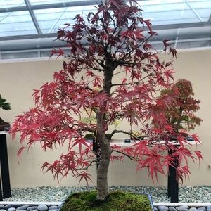 Meet your Posher, Caleb